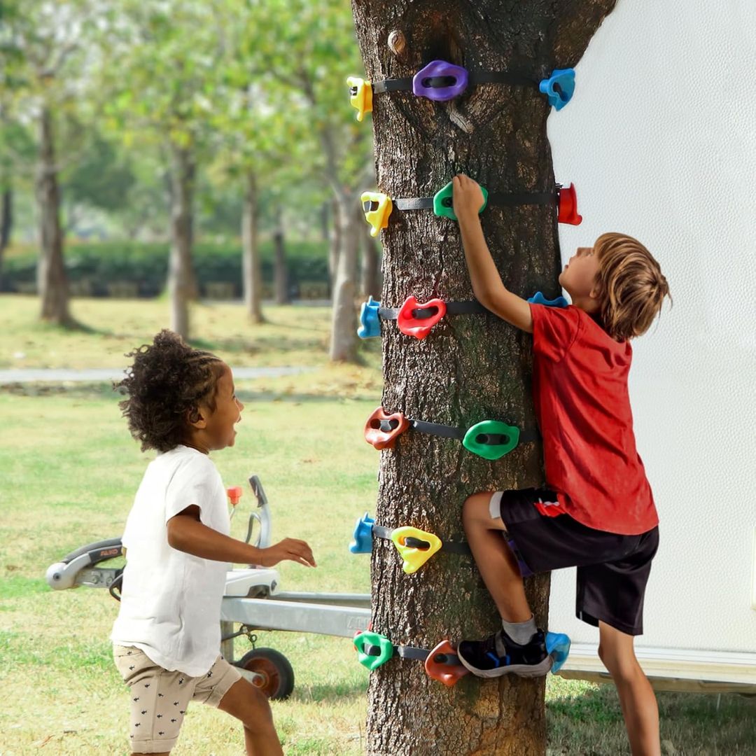 Backyard Tree Climbing Holds Kit