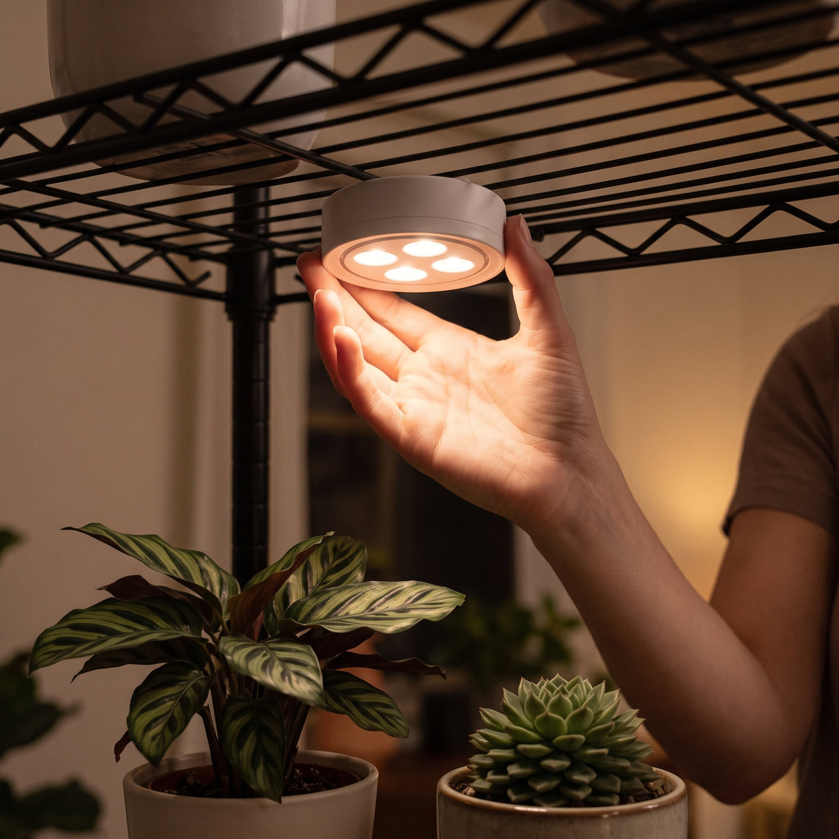 Magnetic plant light snapping onto a metal shelf