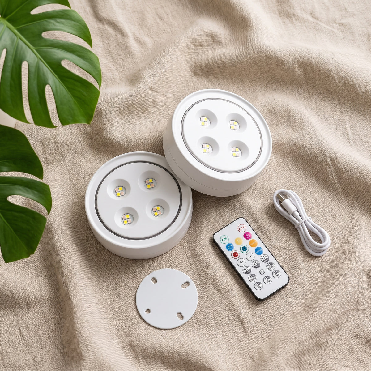 Two lights, remote, cable and mount