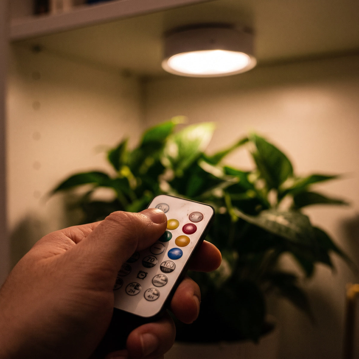 Setting the timer on the remote